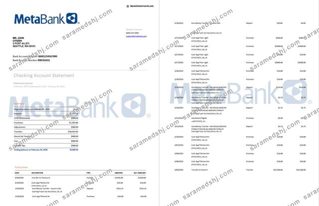 USA Washington Metabank account statement Word and PDF template, 2 pages